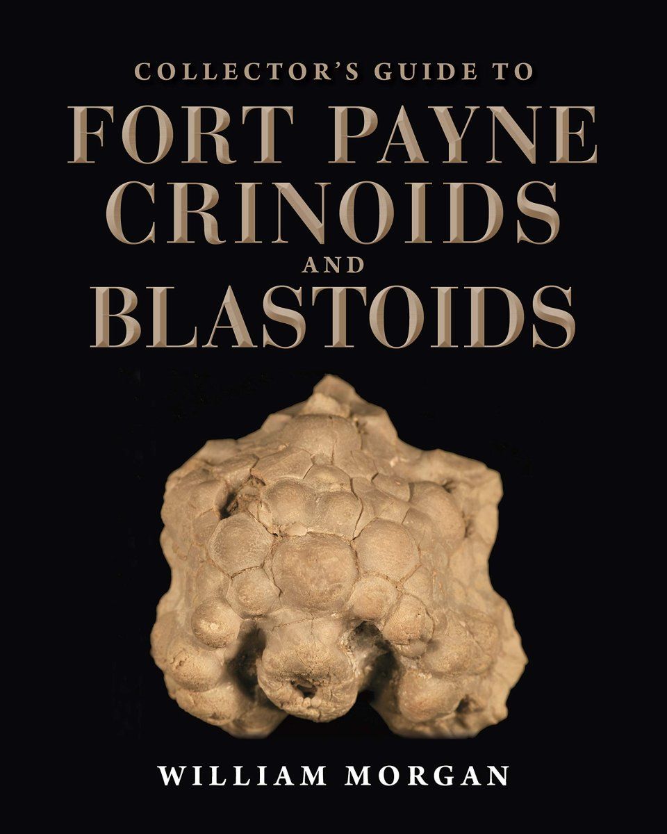 Collector&#039;s Guide to Fort Payne Crinoids and Blastoids