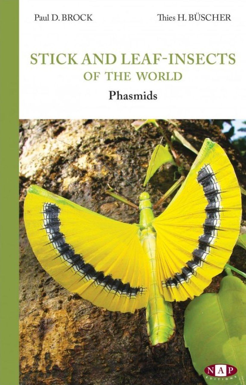 Stick and Leaf-Insects of the World