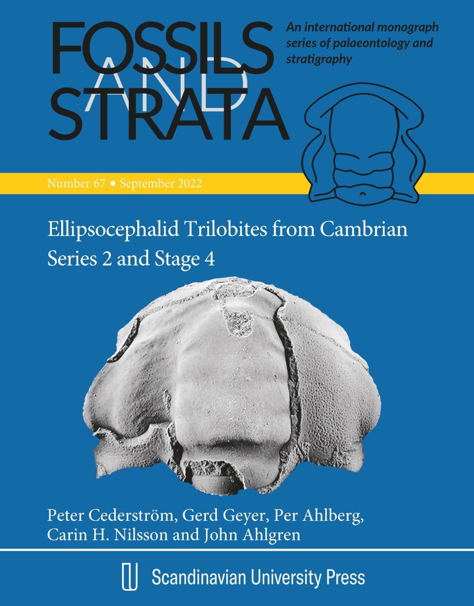 Ellipsocephalid Trilobites from Cambrian Series 2 and Stage 4