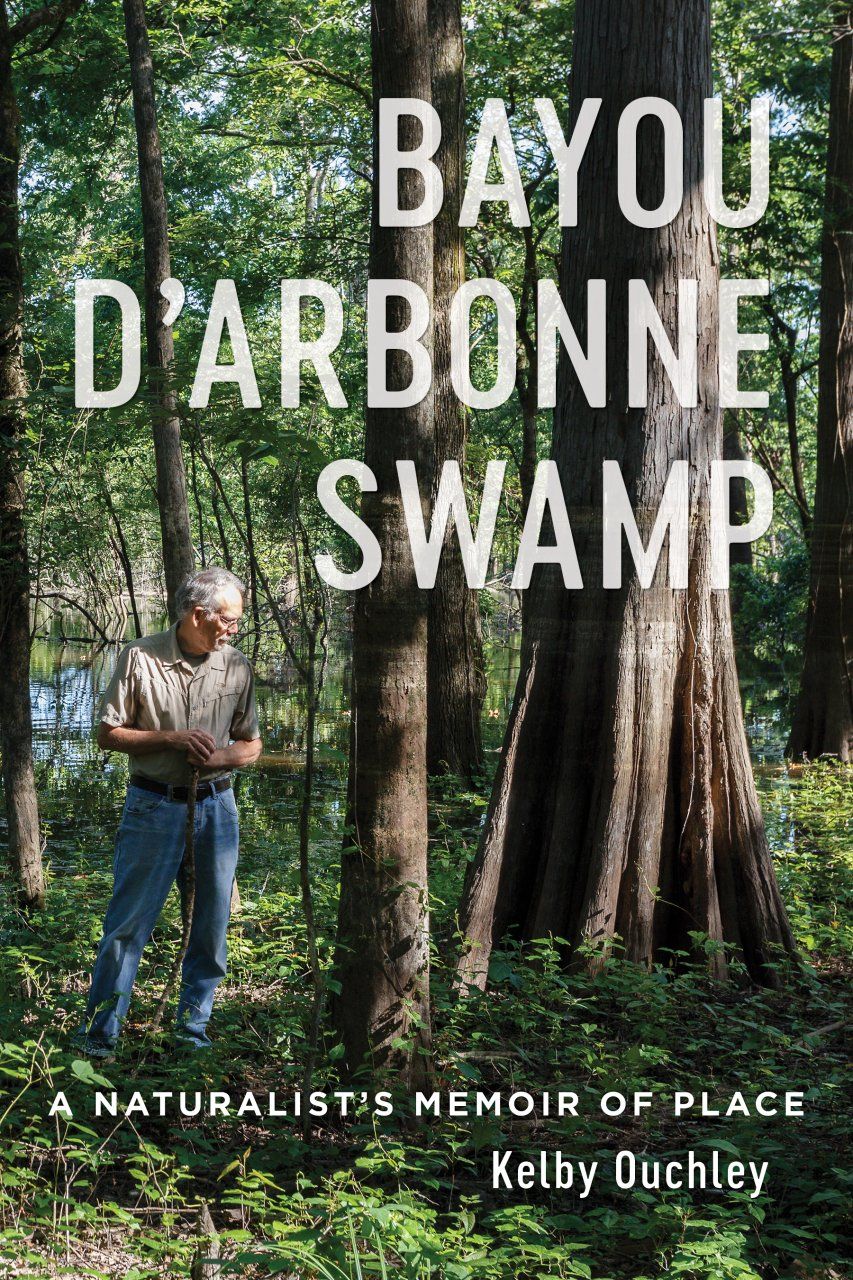 Bayou D&#039;Arbonne Swamp