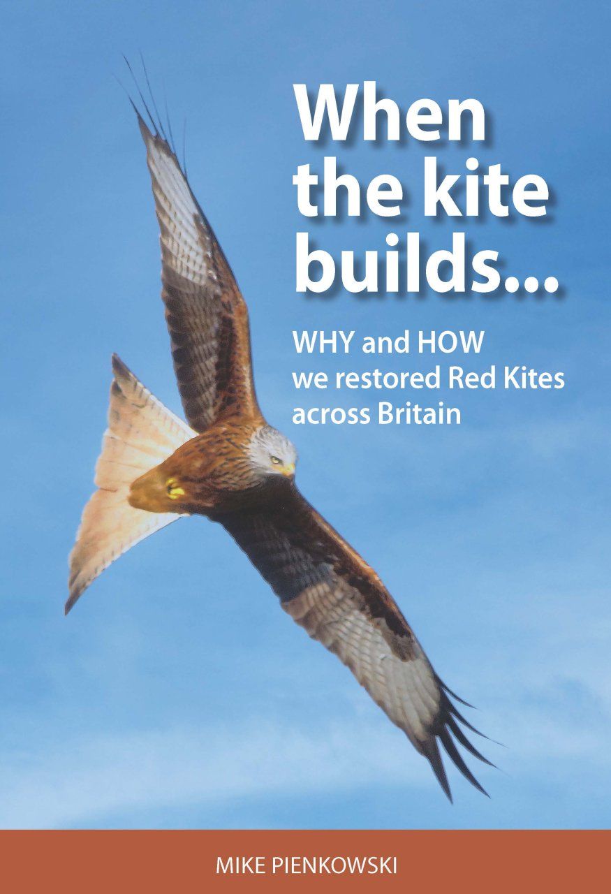 When the Kite Builds...