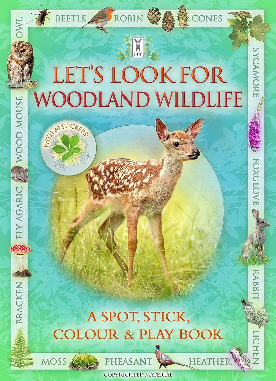 Let&#039;s Look for Woodland Wildlife