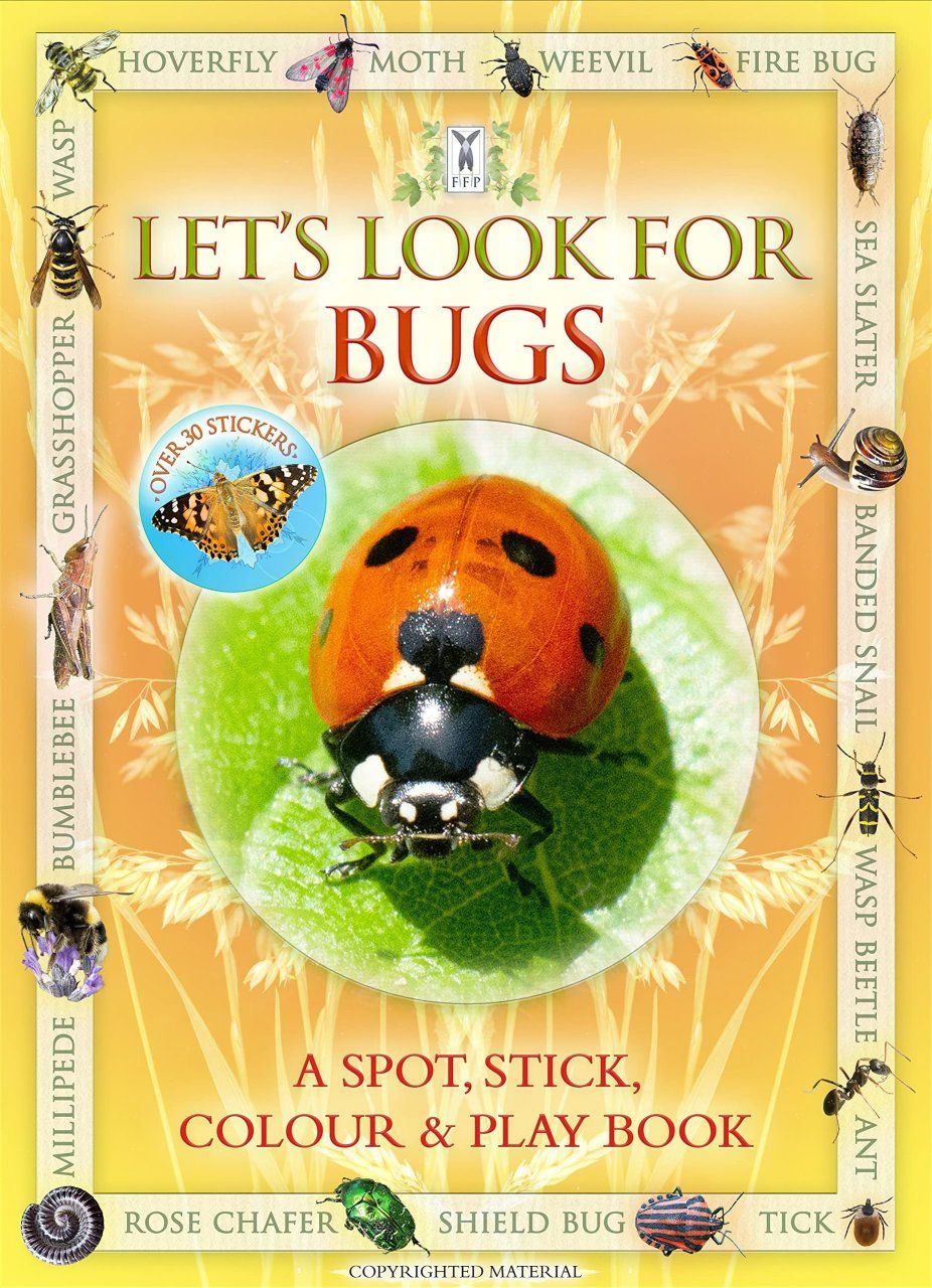 Let&#039;s Look for Bugs