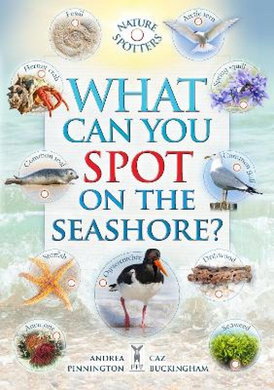 What Can You Spot on the Seashore?