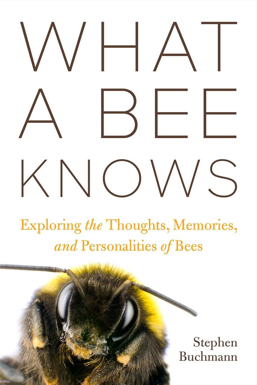 What a Bee Knows