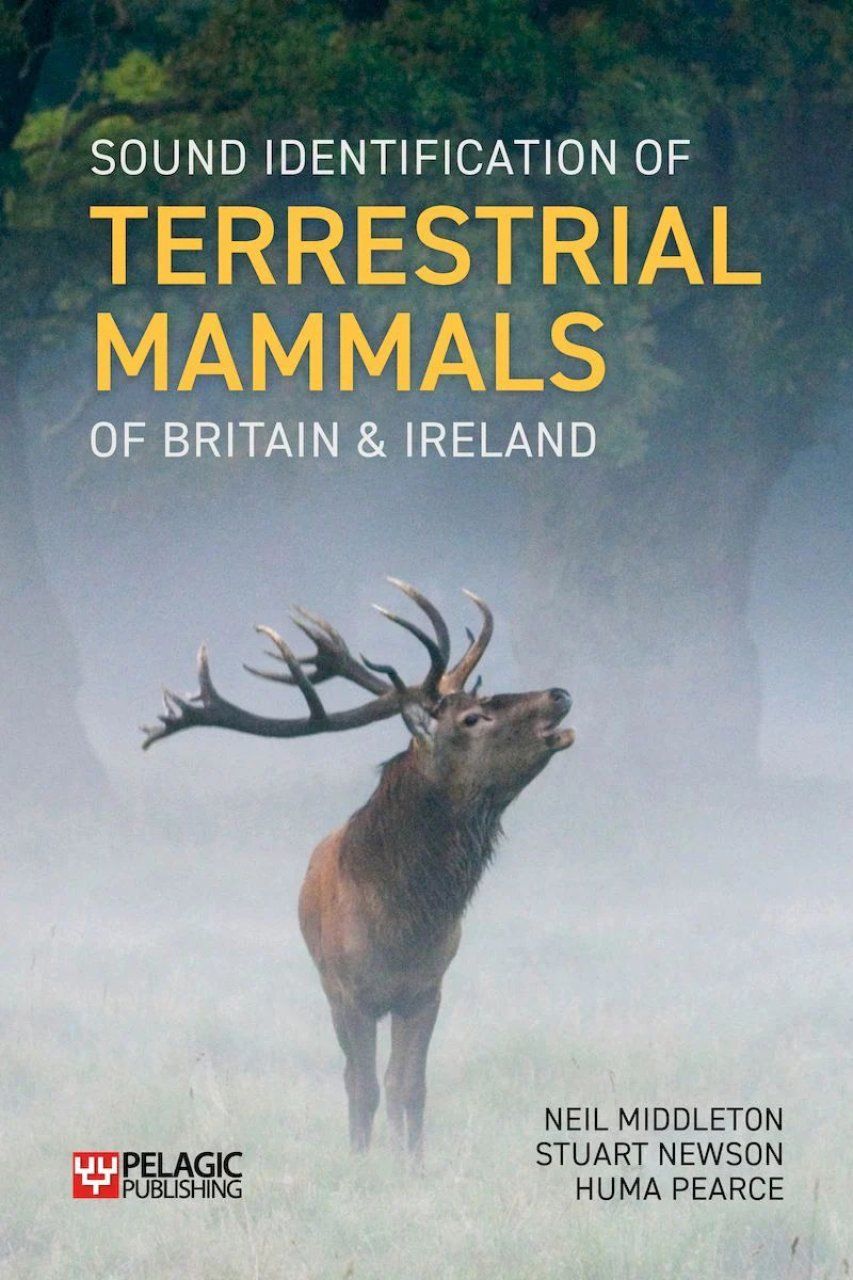 Sound Identification of Terrestrial Mammals of Britain &amp; Ireland