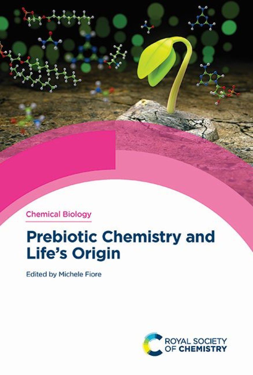 Prebiotic Chemistry and Life&#039;s Origin
