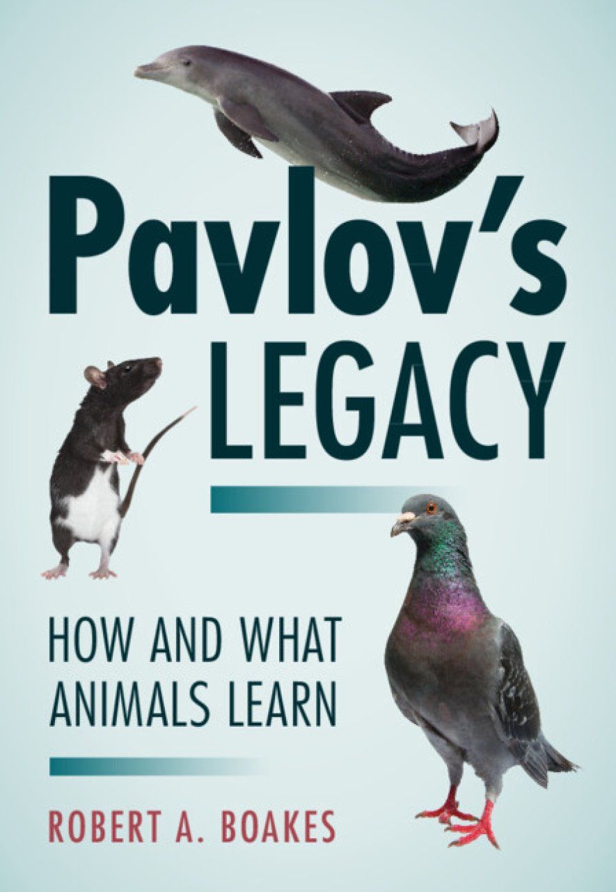 Pavlov&#039;s Legacy