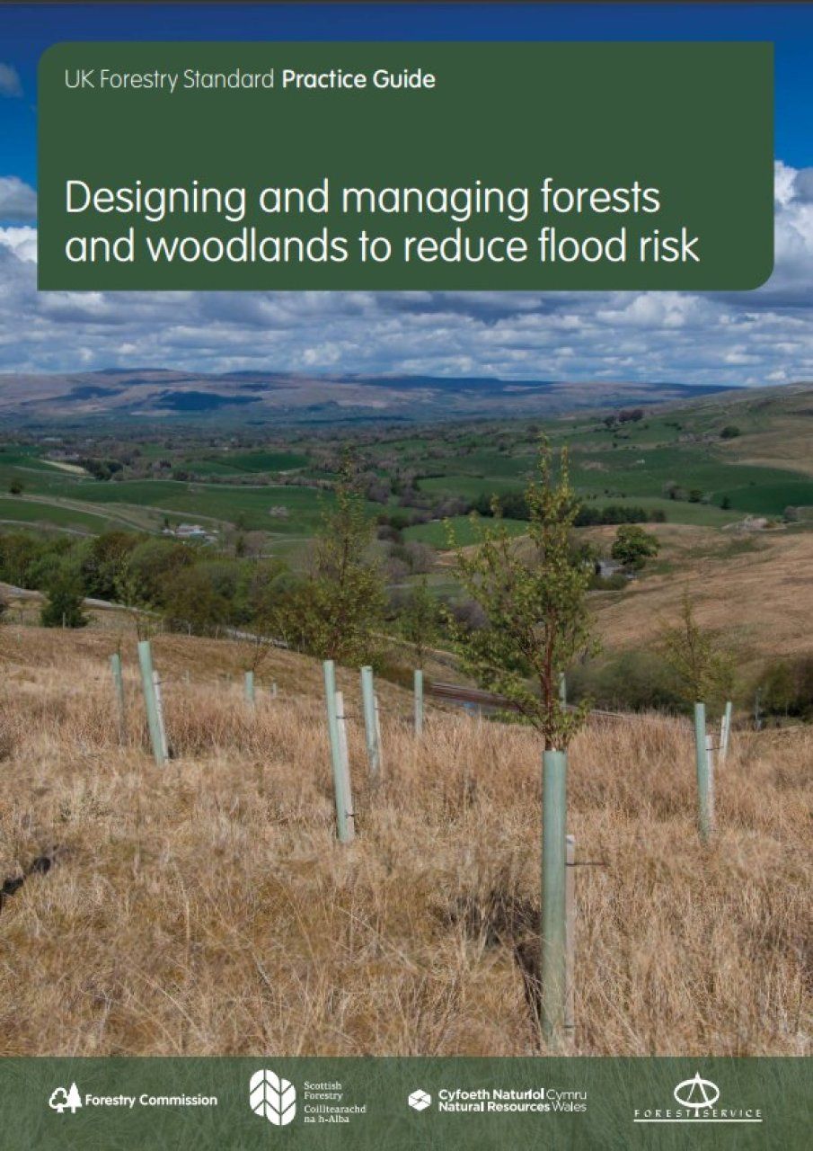 Designing and Managing Forests and Woodlands to Reduce Flood Risk