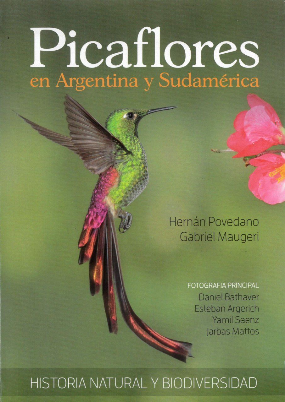 Picaflores en Argentina y Sudamérica: Historia Natural y Biodiversidad [Hummingbirds in Argentina and South America: Natural History and Biodiversity]