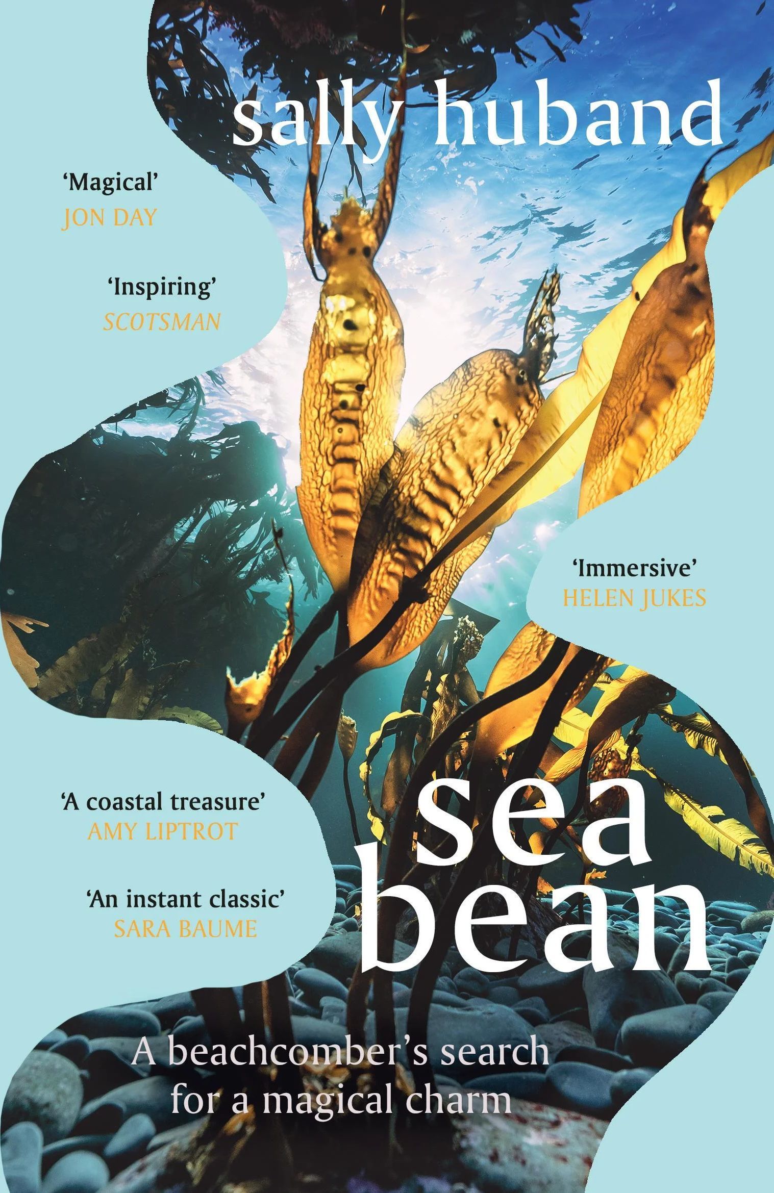 Sea Bean