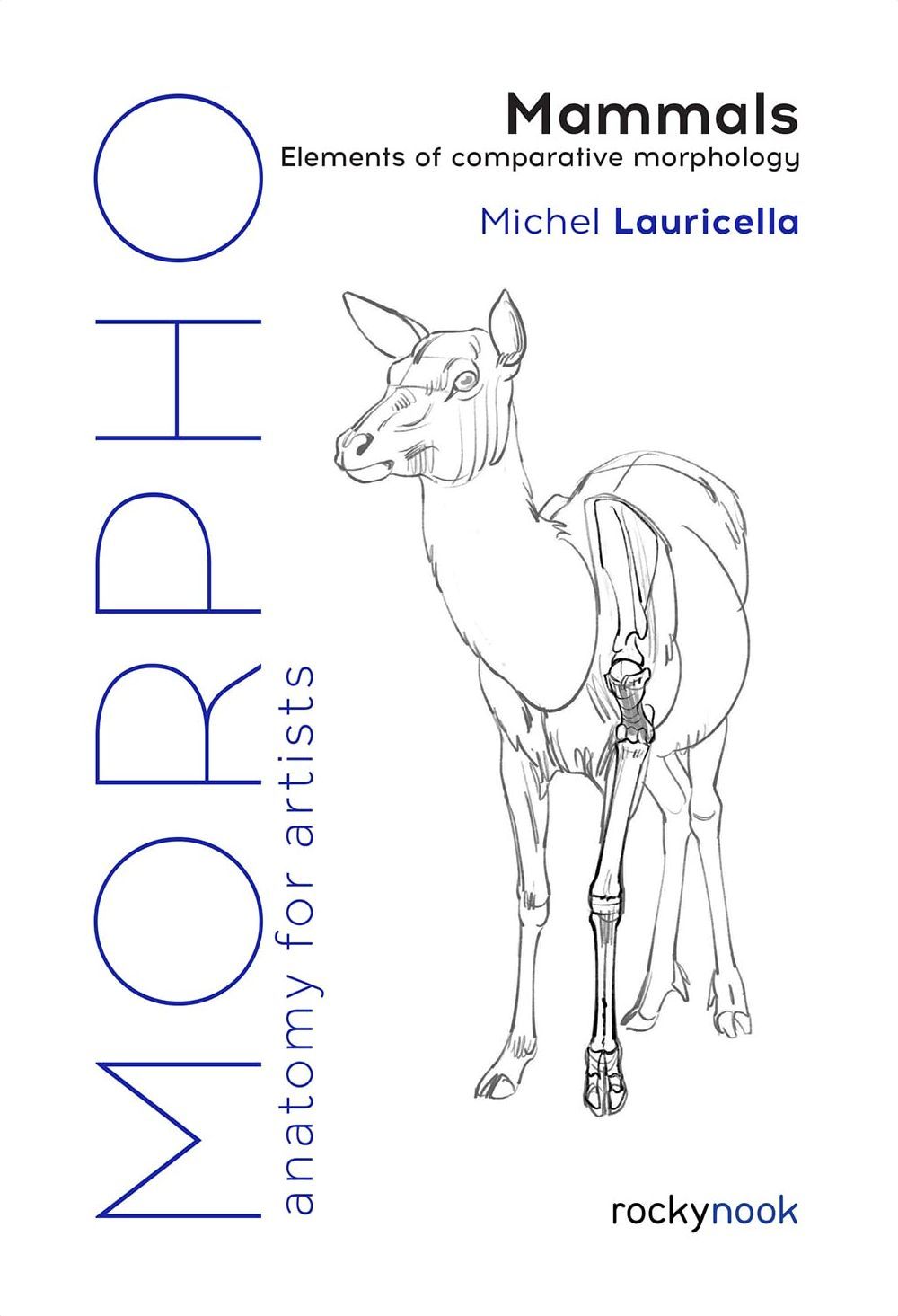 Morpho: Mammals