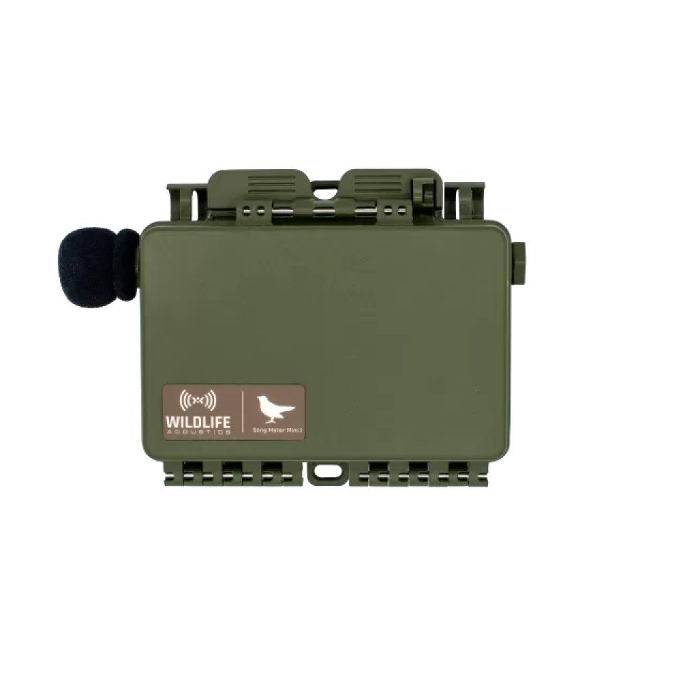 Song Meter Mini 2 Acoustic Recorder (Lithium-Ion)