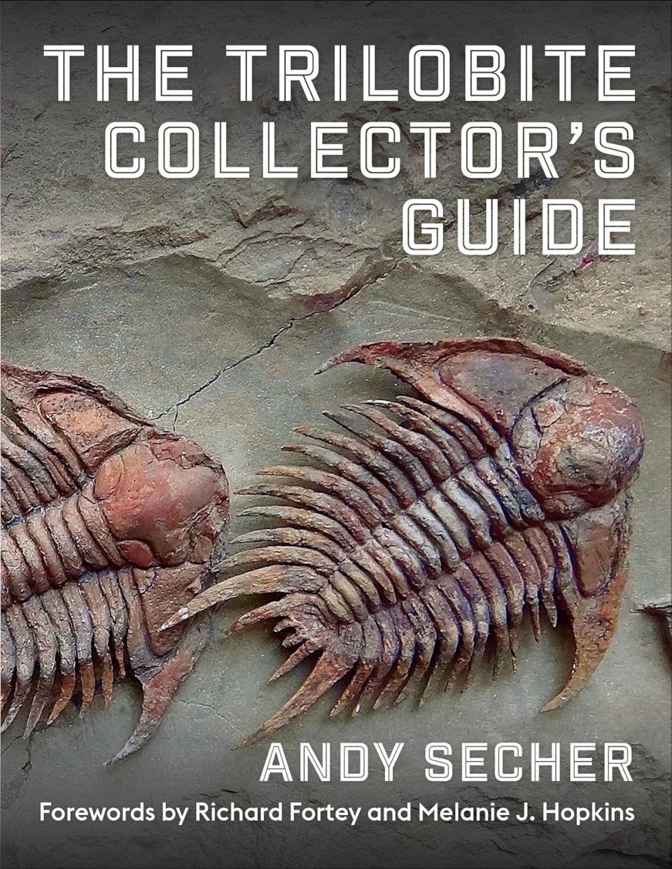 The Trilobite Collector&#039;s Guide