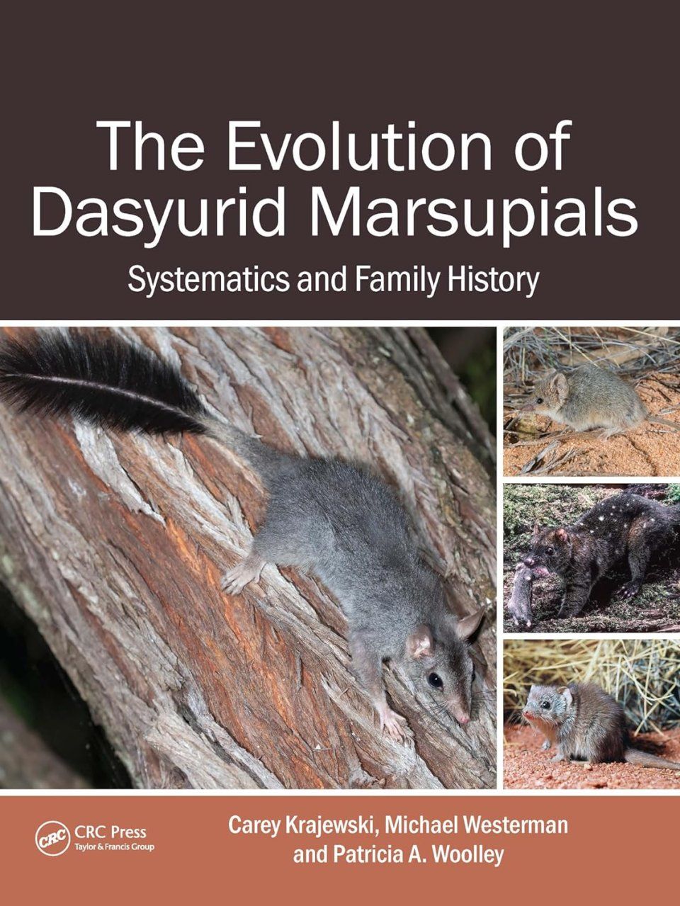 The Evolution of Dasyurid Marsupials