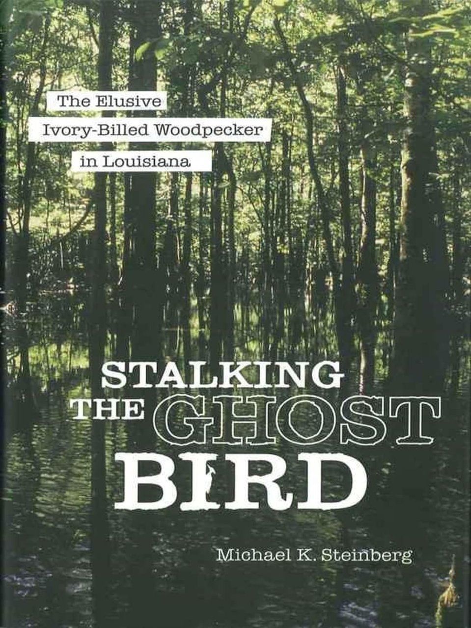 Stalking the Ghost Bird