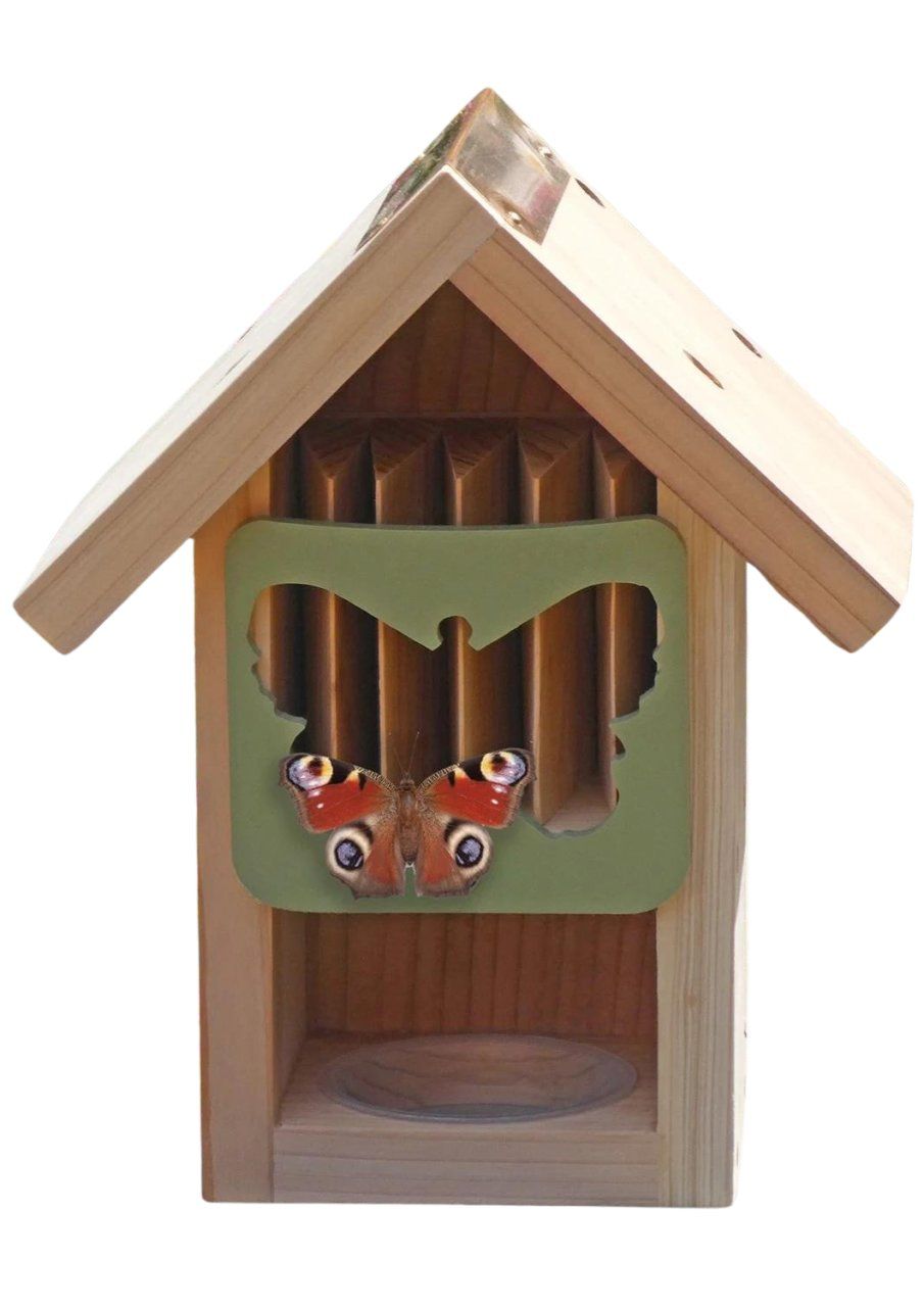 Butterfly Barn