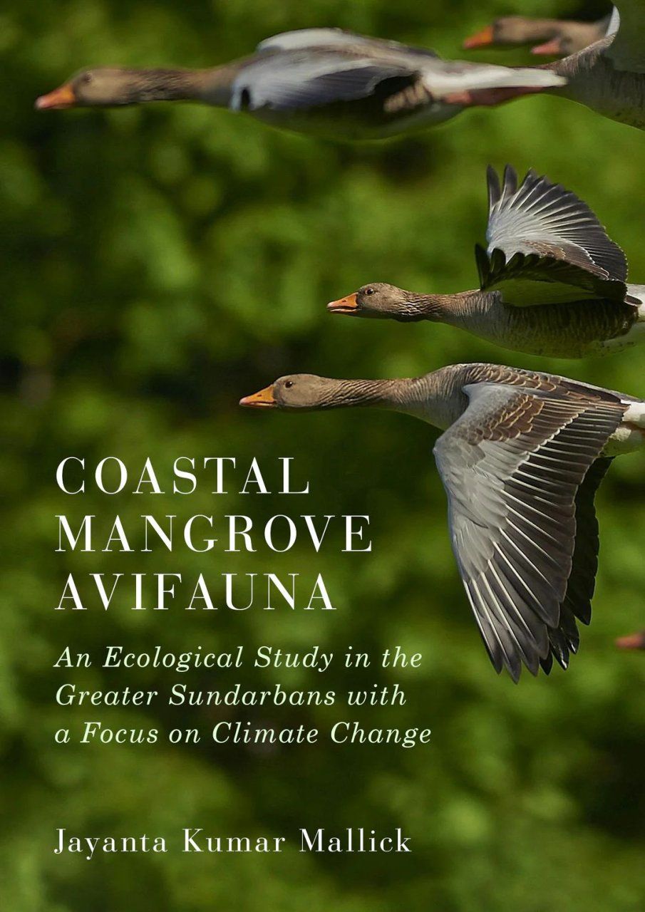 Coastal Mangrove Avifauna