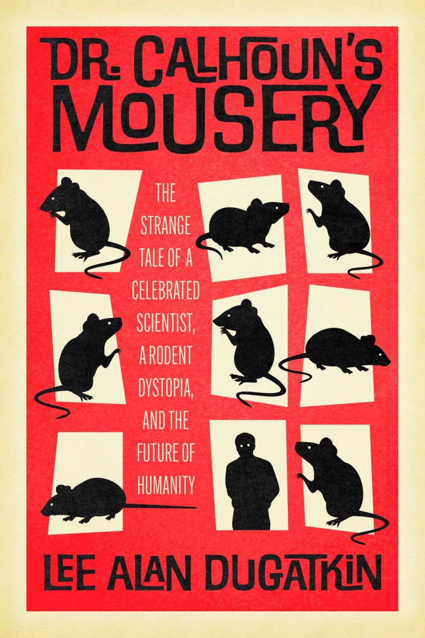 Dr. Calhoun’s Mousery