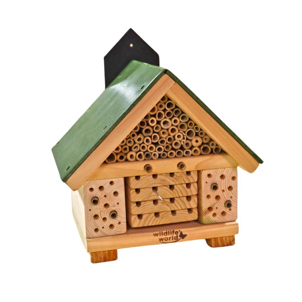 ARX Naturalis &#039;Citizen Science&#039; Bee Nester