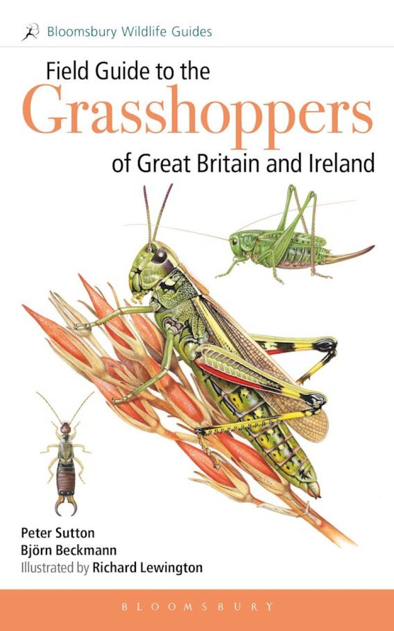 Field Guide to the Grasshoppers and Allies of Great Britain and Ireland