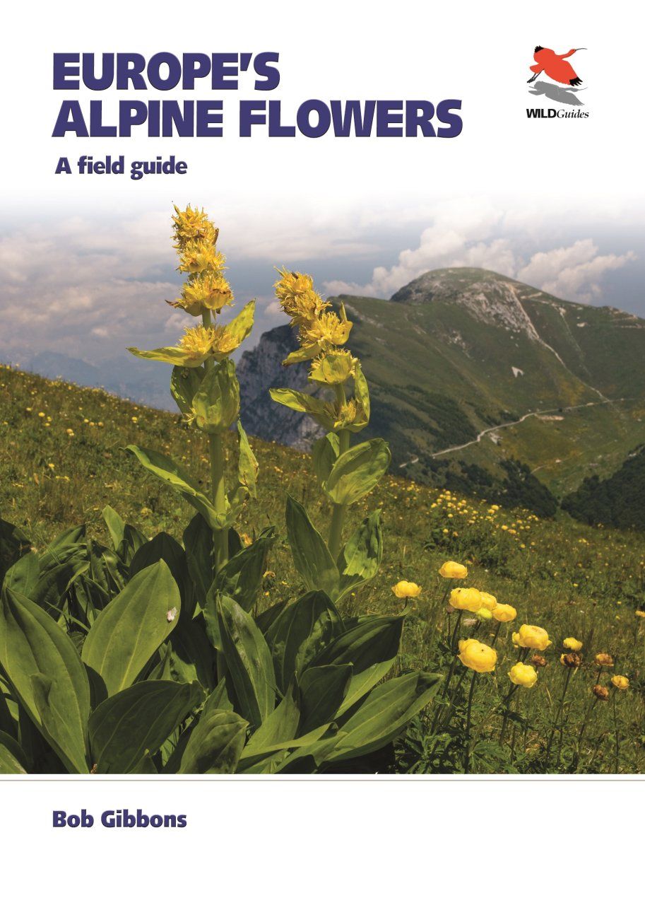 Europe&#039;s Alpine Flowers
