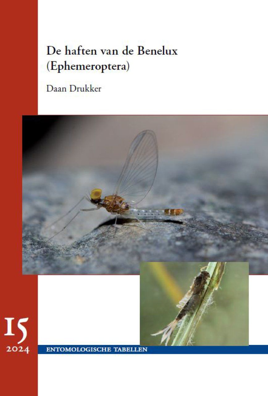 De Haften van de Benelux (Ephemeroptera) [The Ephemeroptera of the Benelux]