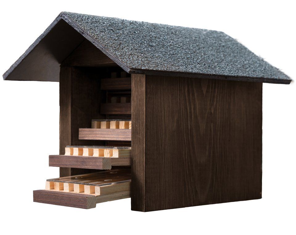 Observation Bee Hotel
