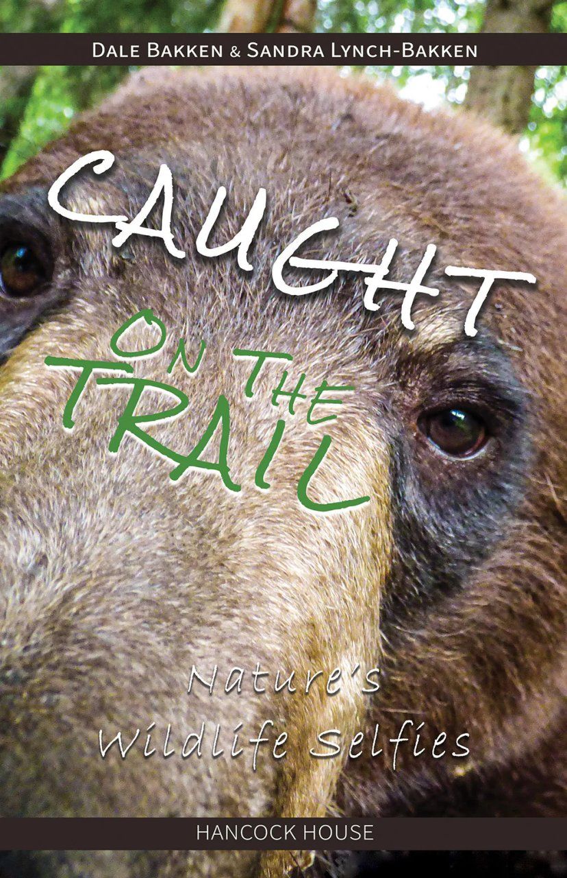 Caught on the Trail