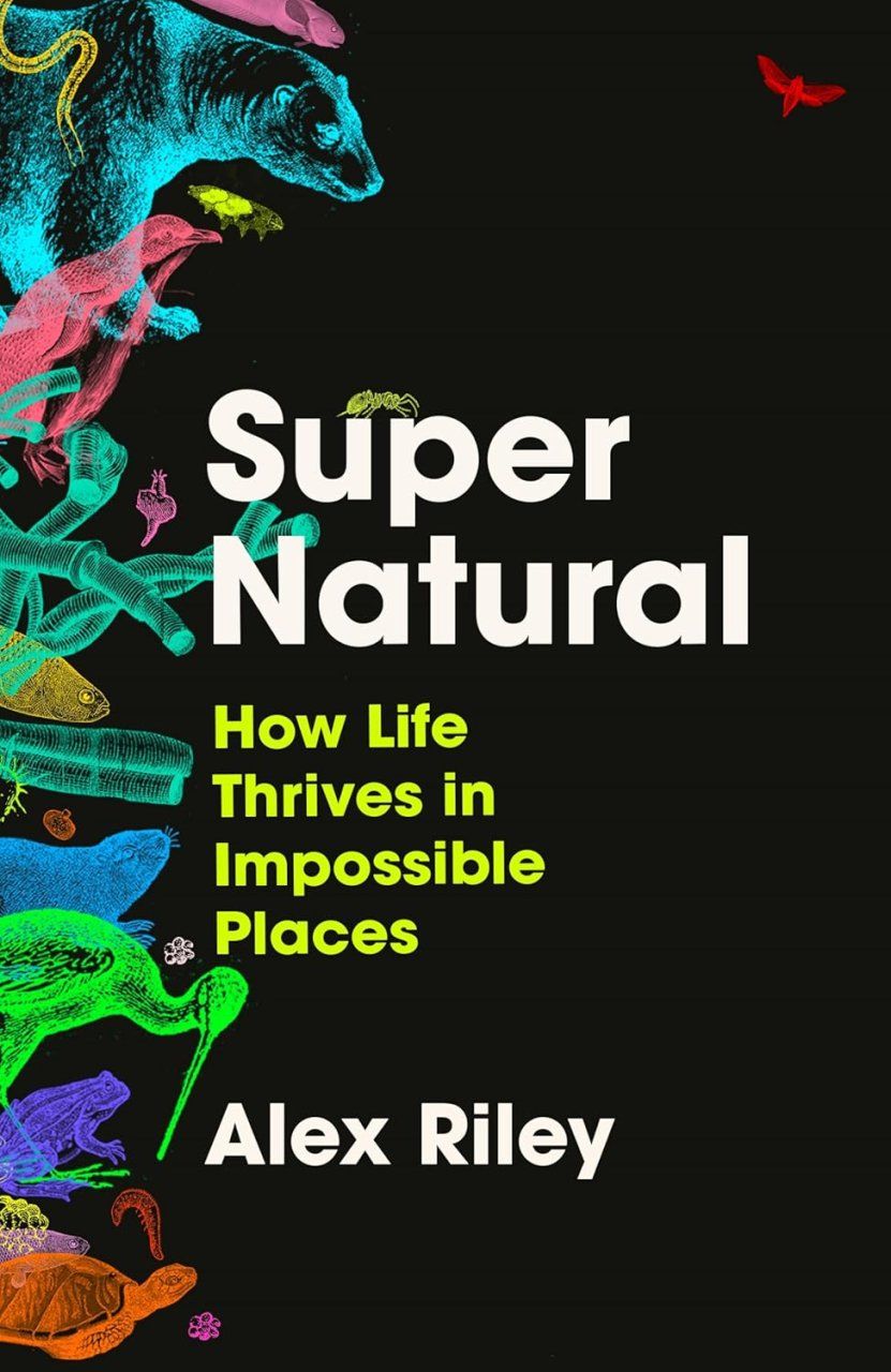 Super Natural