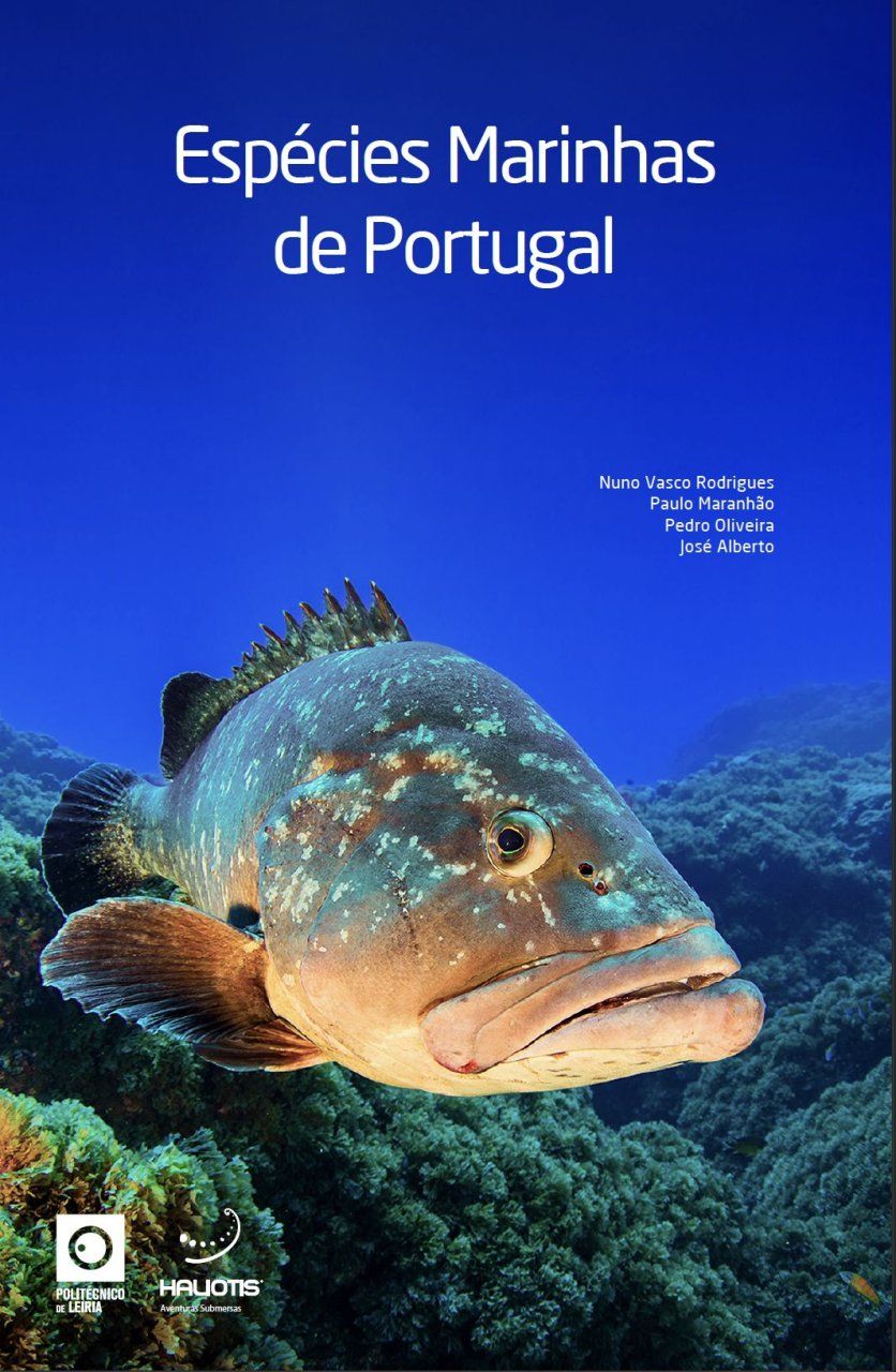 Espécies Marinhas de Portugal [Marine Species of Portugal]