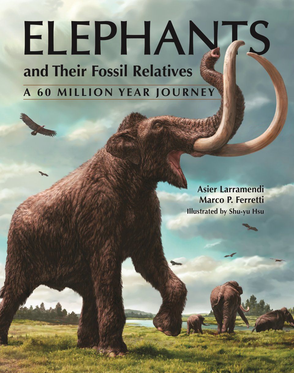 Elephants and Their Fossil Relatives