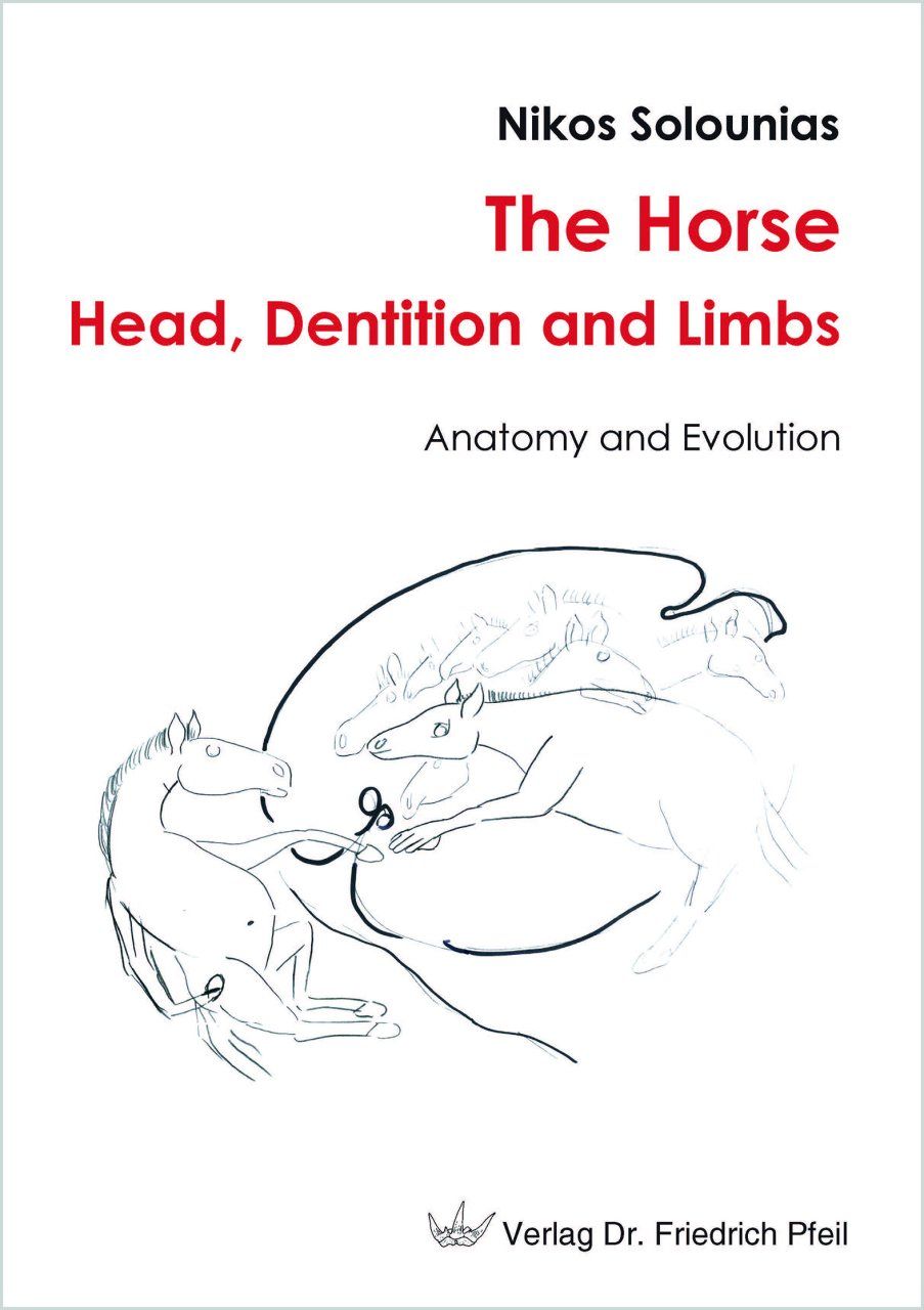 The Horse – Head, Dentition and Limbs