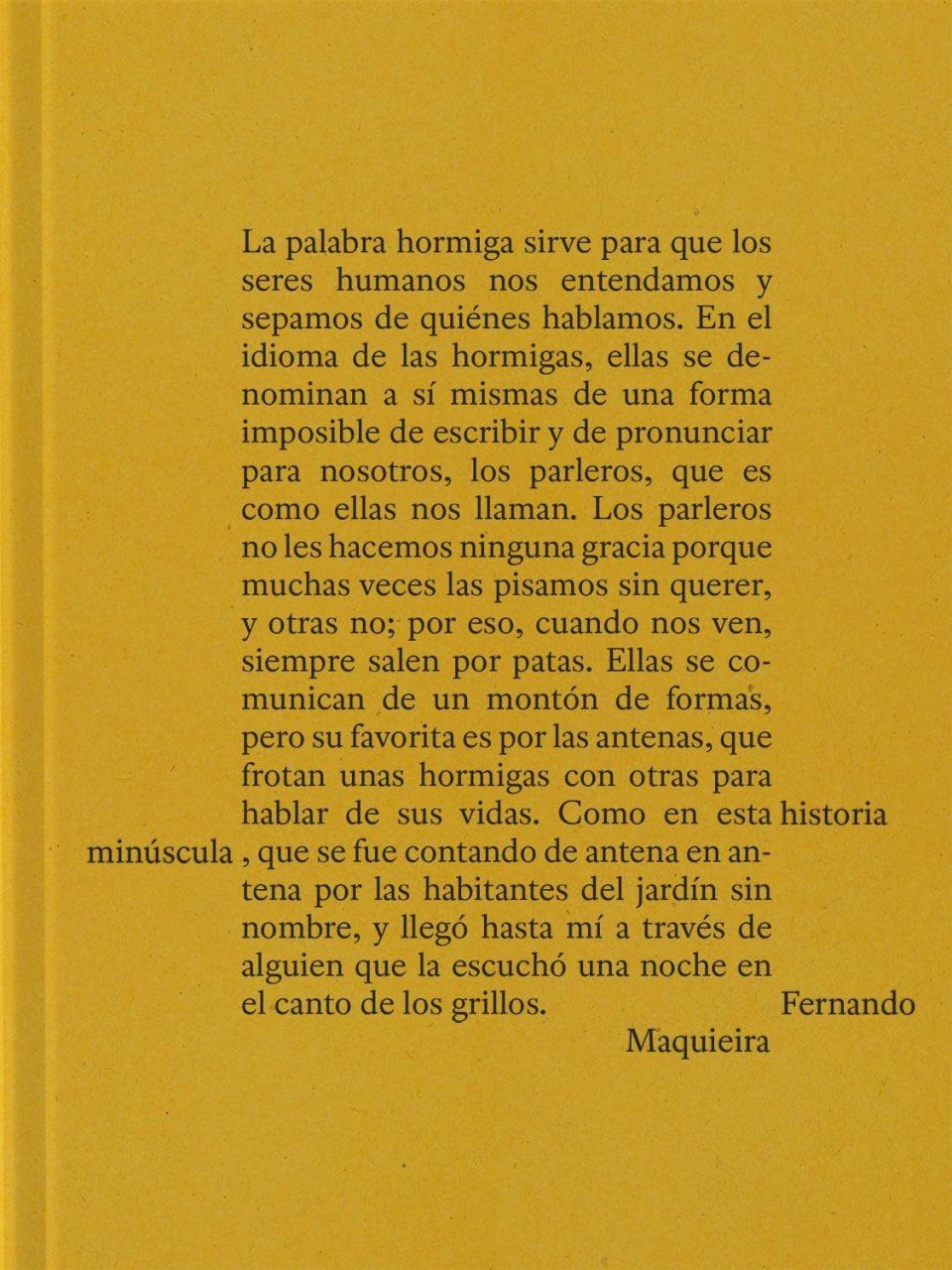 Fernando Maquieira: A Tiny Story