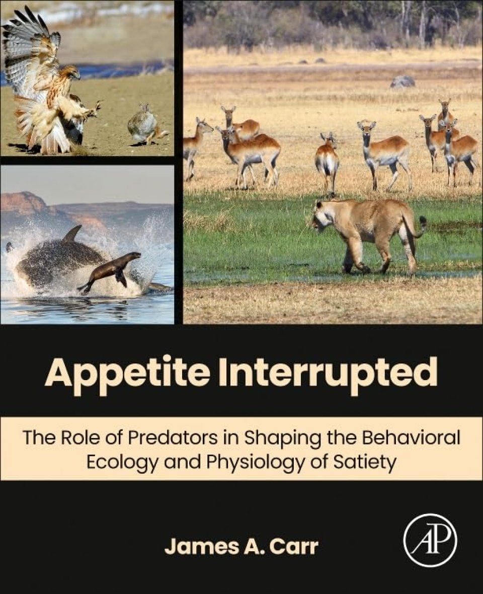 Appetite Interrupted