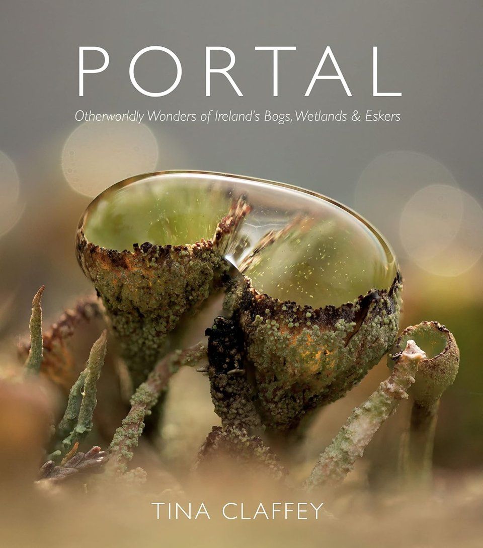 Portal