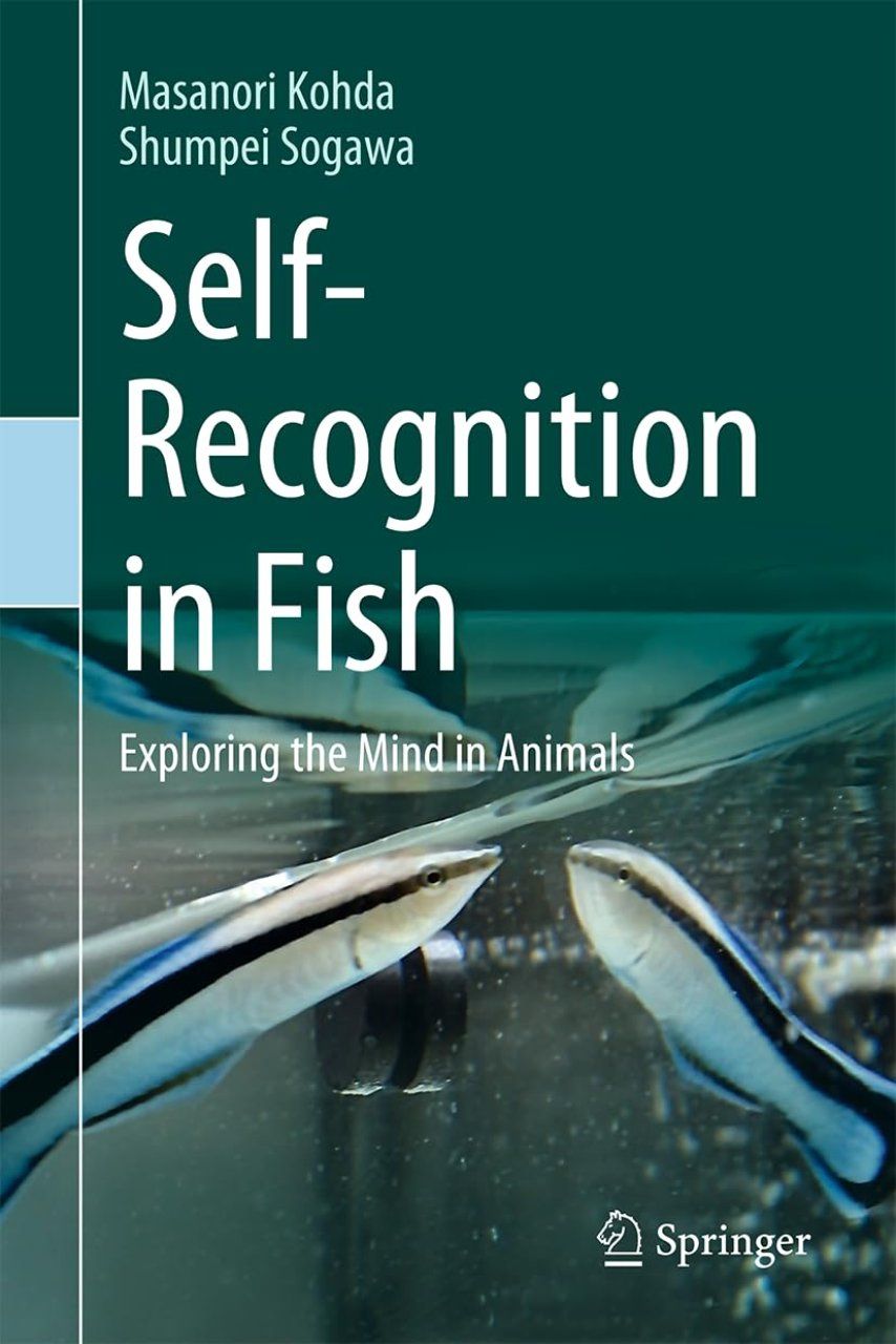 Self-Recognition in Fish
