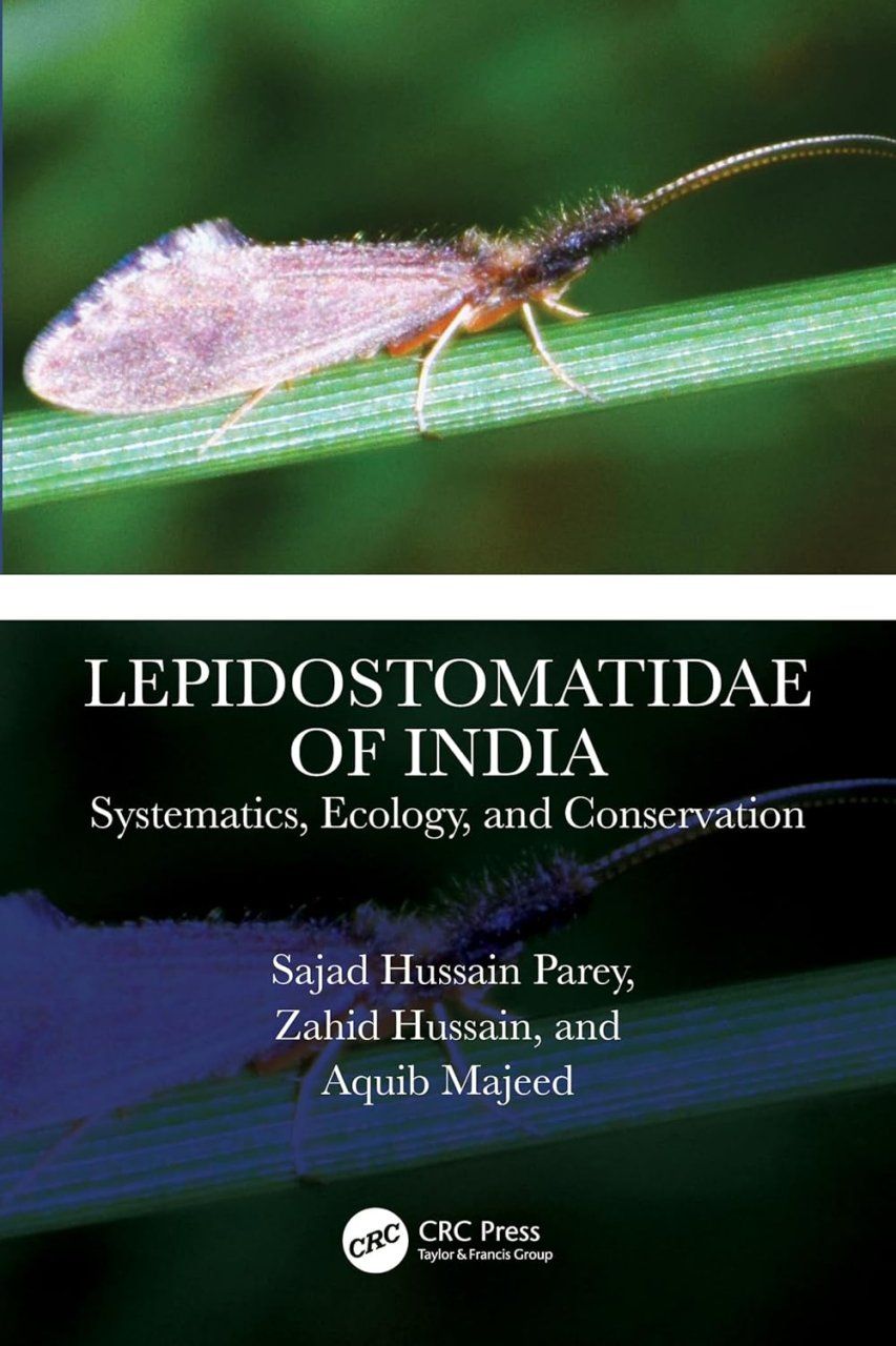 Lepidostomatidae of India