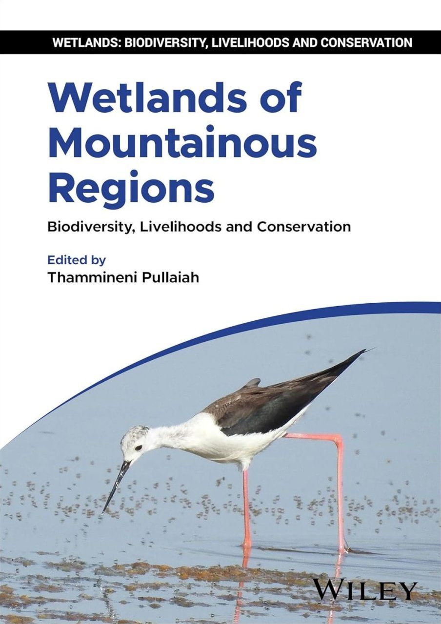 Wetlands of Mountainous Regions