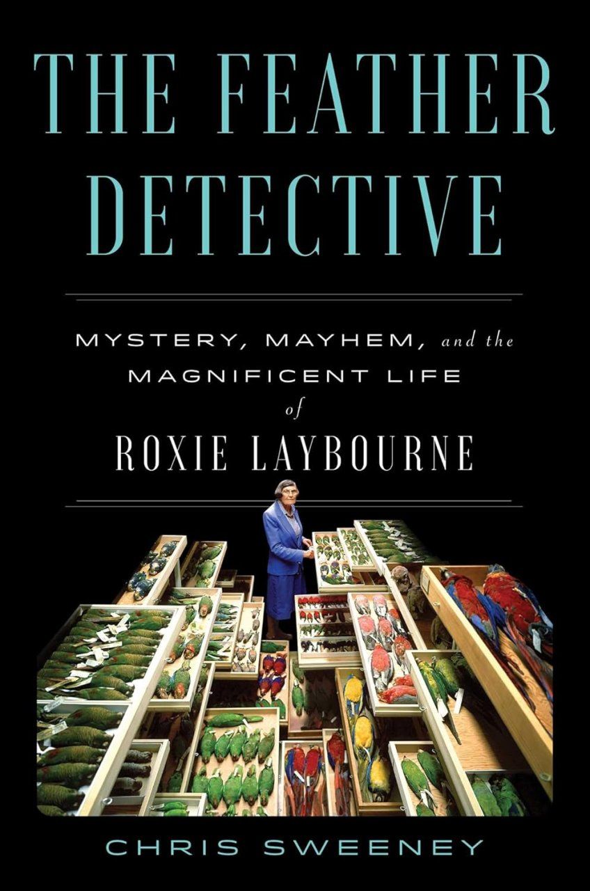 The Feather Detective