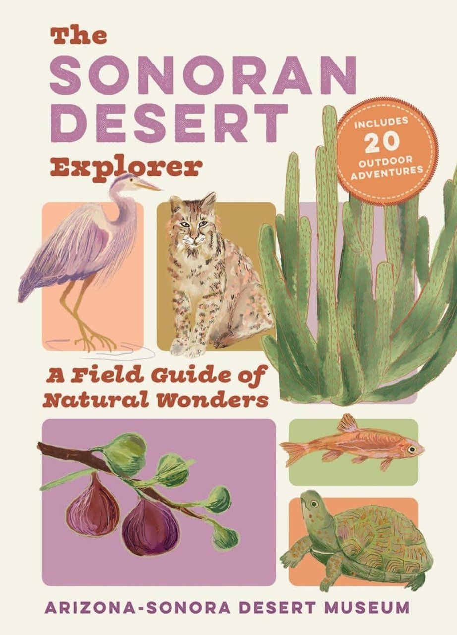 The Sonoran Desert Explorer