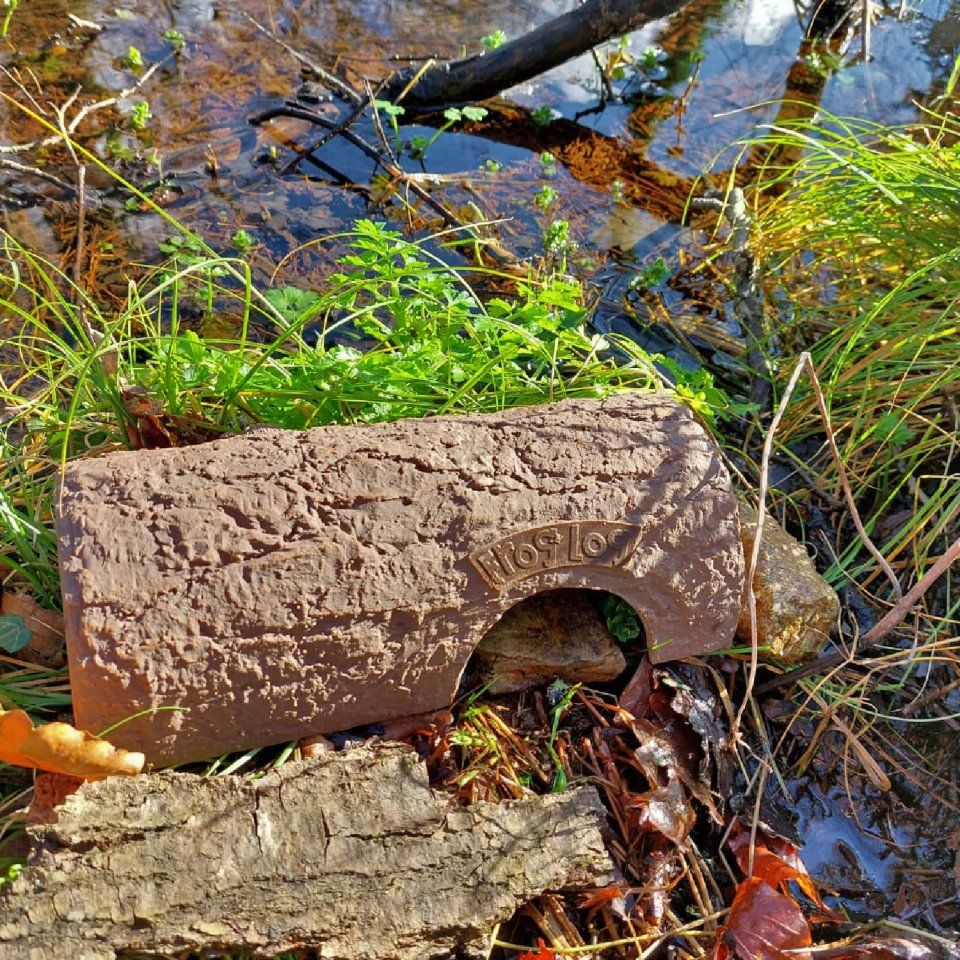 Simon King Frog Log