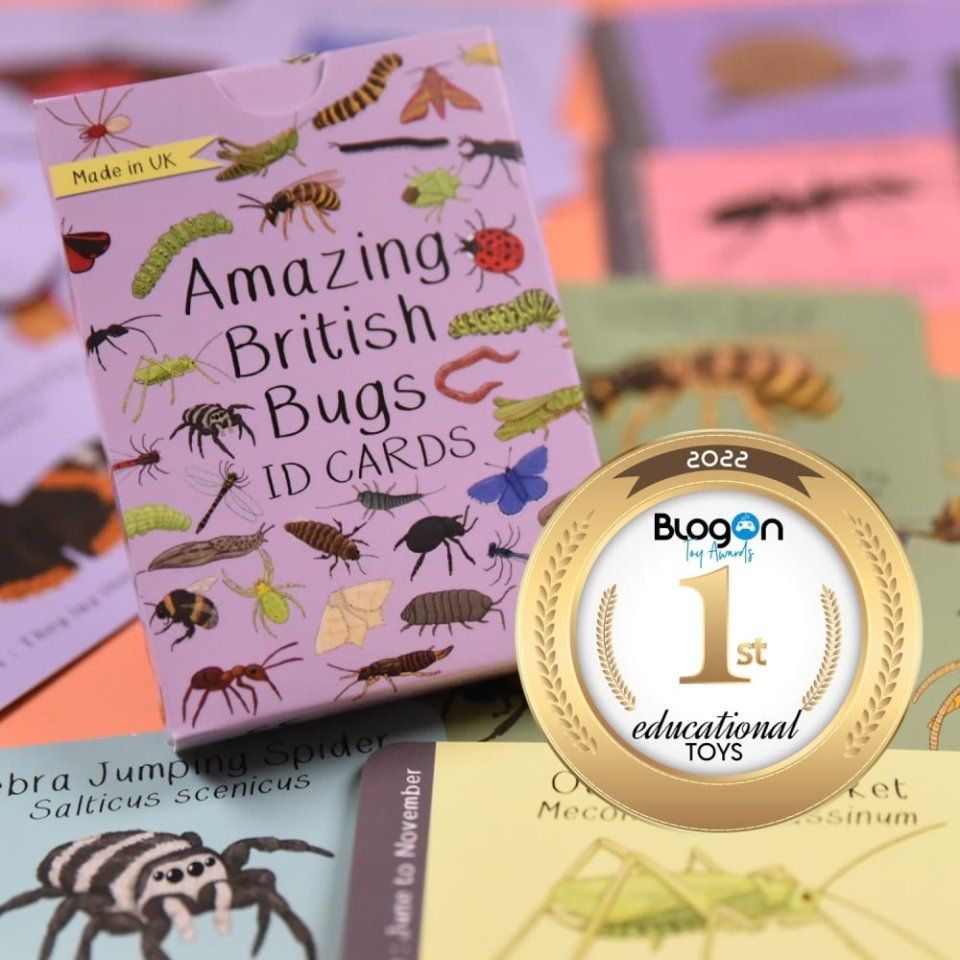 Amazing British Bugs ID Cards