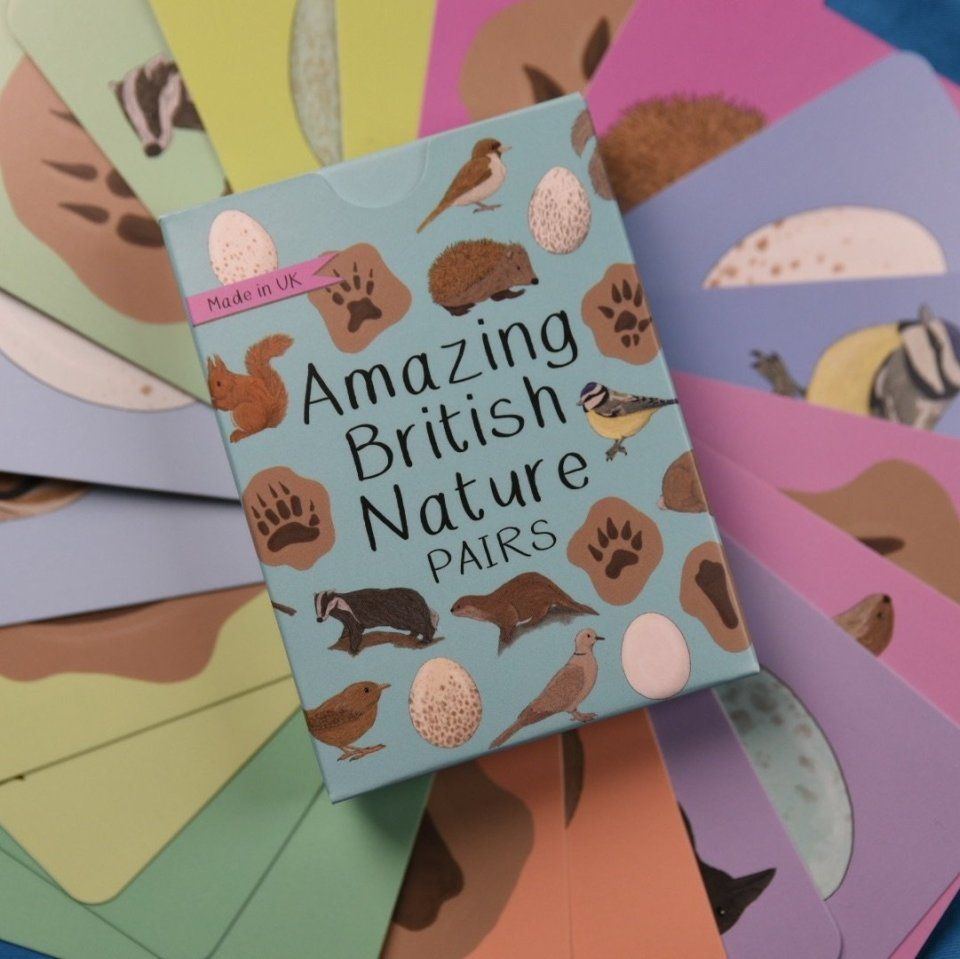 Amazing British Nature Pairs Cards