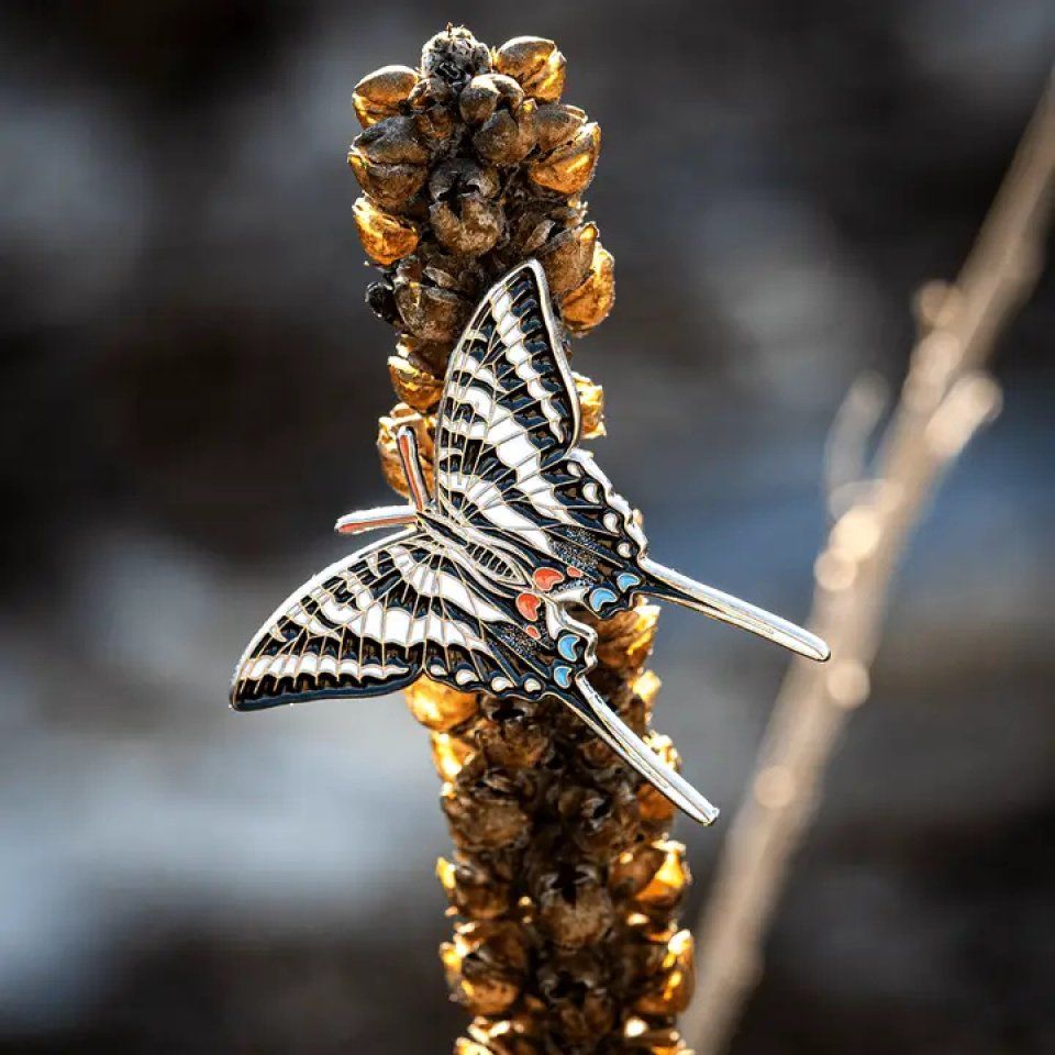  Zebra Swallowtail Butterfly Enamel Pin