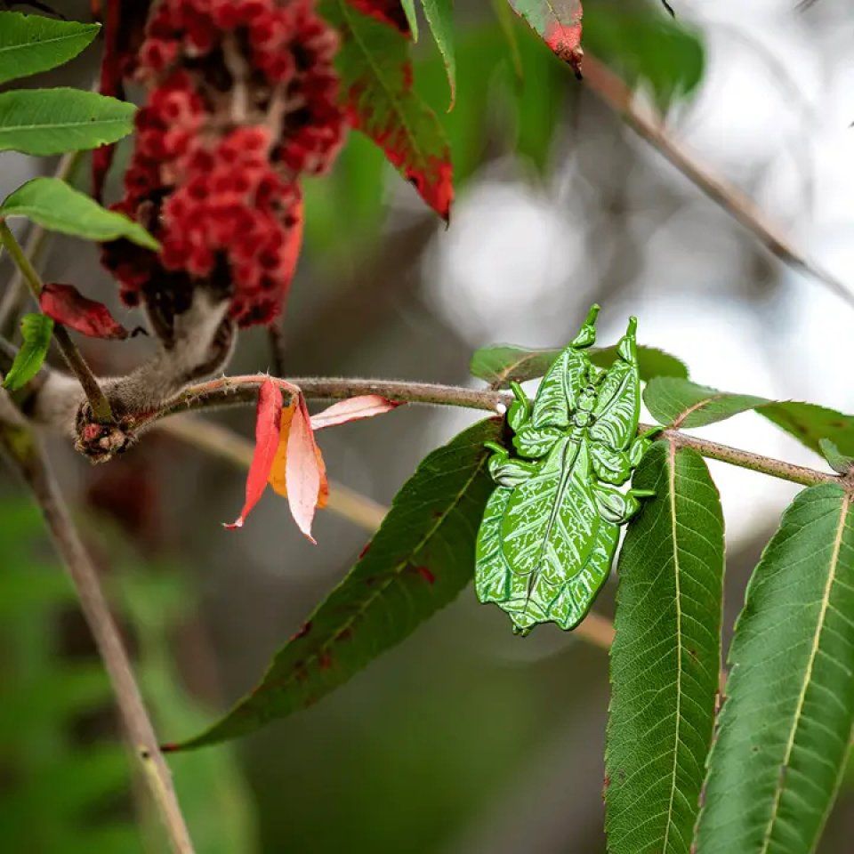 Walking Leaf Insect Enamel Pin