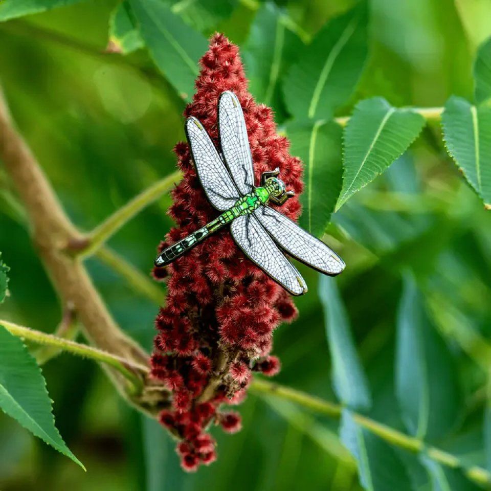 Eastern Pondhawk Dragonfly Pin