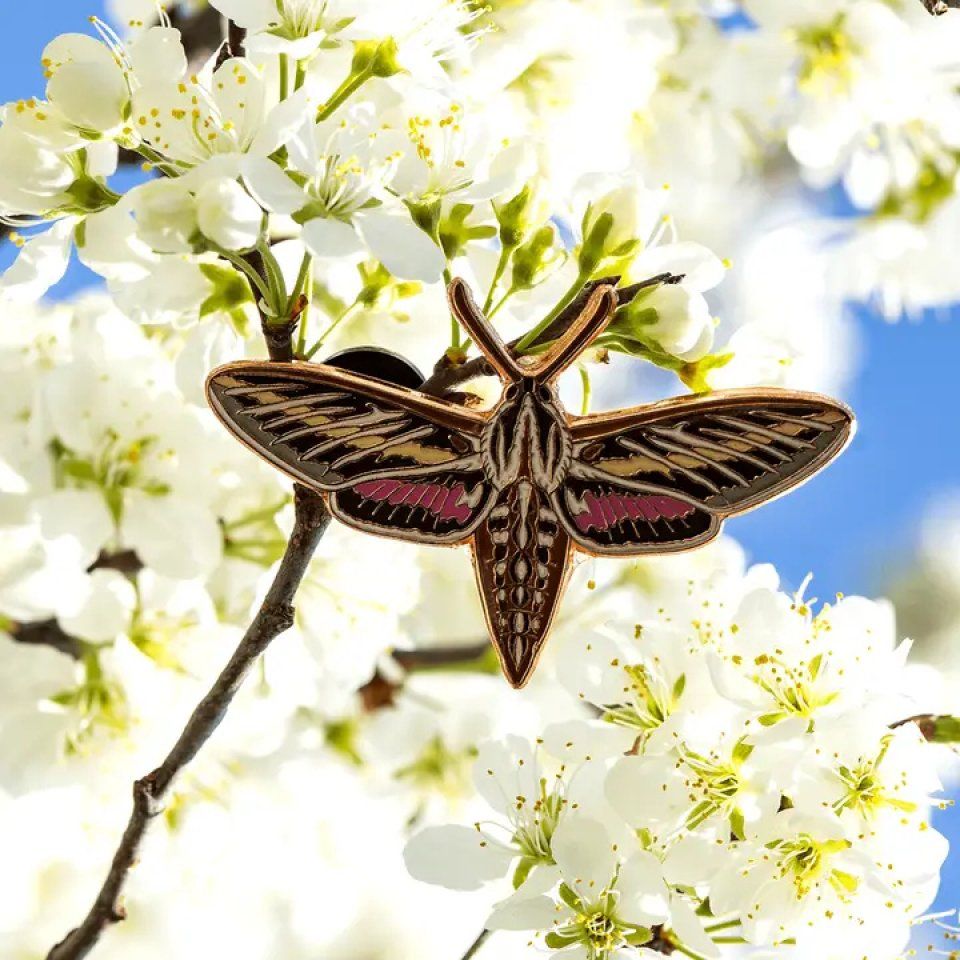 White-Lined Sphinx Moth Enamel Pin