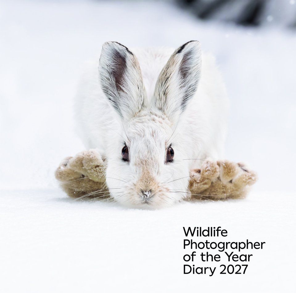 Wildlife Photographer of the Year Desk Diary 2027