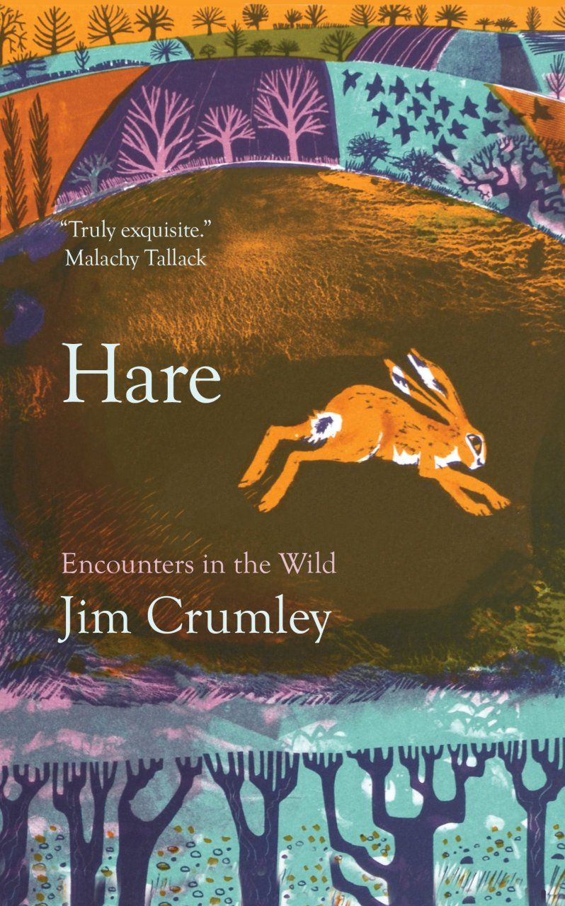 Hare